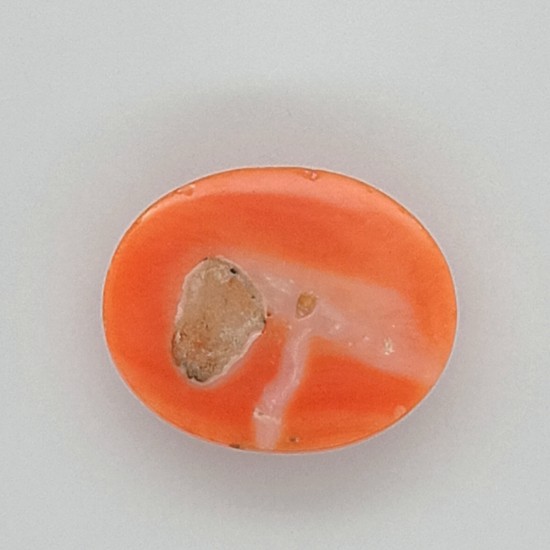 Coral (Moonga) 8.65 Ct Best Quality Coral (Moonga) 8.65 Ct Best Quality